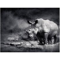 Kuvatapetti Artgeist Rhinoceros, eri kokoja