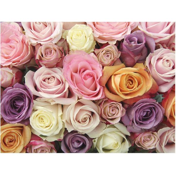 Kuvatapetti Artgeist Pastel roses, eri kokoja