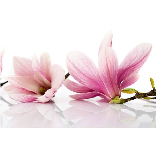 Kuvatapetti Artgeist Magnolia, eri kokoja