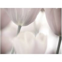 Kuvatapetti Artgeist Tulips fine art - black and white, eri kokoja