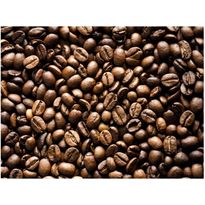 Kuvatapetti Artgeist Roasted coffee beans, eri kokoja