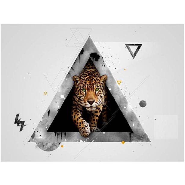 Kuvatapetti Artgeist Wild abstraktio, eri kokoja
