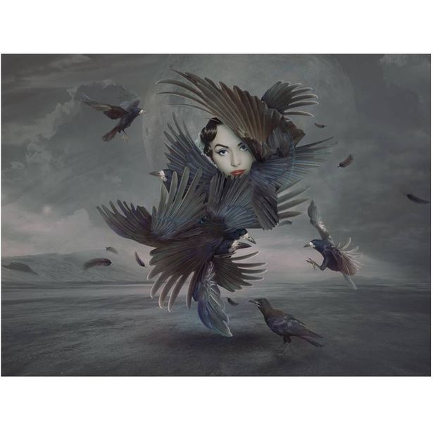 Kuvatapetti Artgeist Bird Woman, eri kokoja