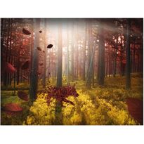 Kuvatapetti Artgeist Animismismi, eri kokoja
