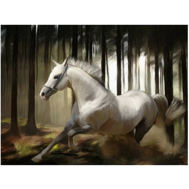 Kuvatapetti Artgeist White Chase, eri kokoja