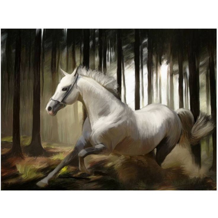 Kuvatapetti Artgeist White Chase, eri kokoja