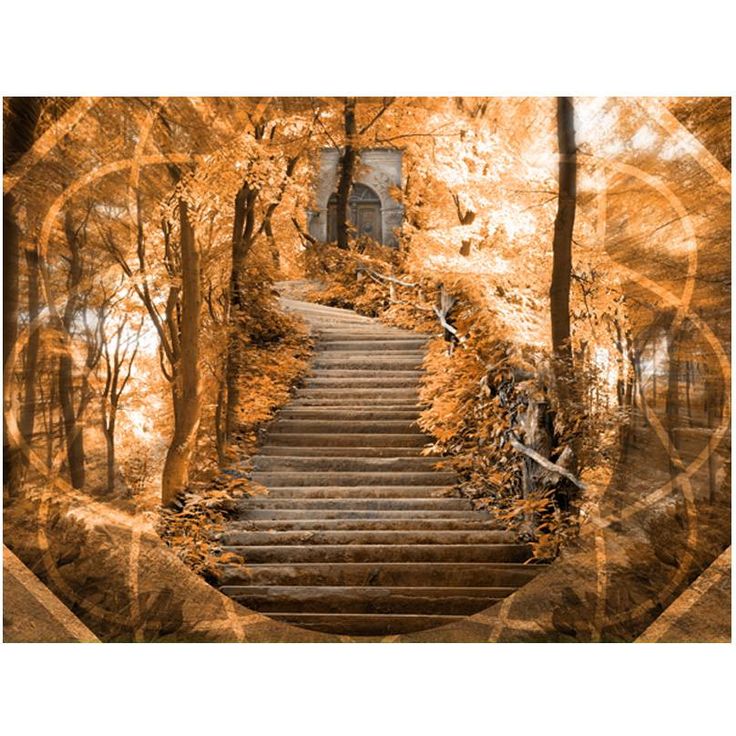 Metsätapetti Artgeist Stairs to paradise, eri kokoja