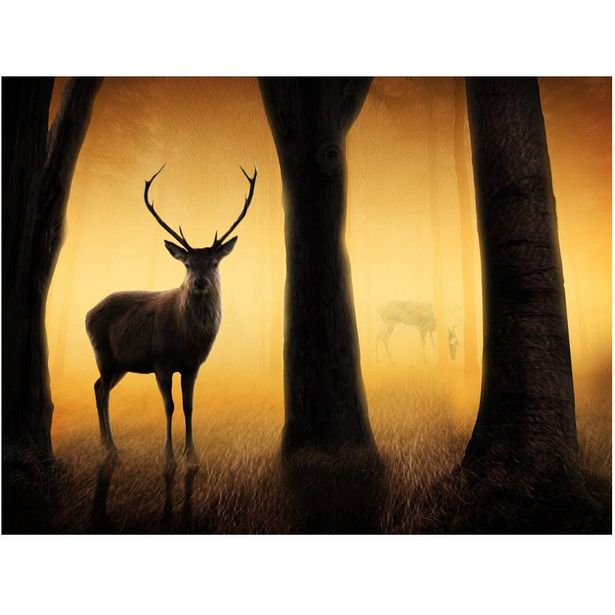 Kuvatapetti Artgeist Deer in his natural habitat, eri kokoja