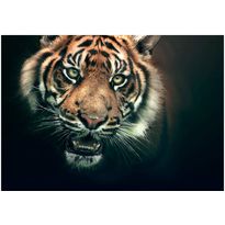 Kuvatapetti Artgeist Bengal Tiger, eri kokoja
