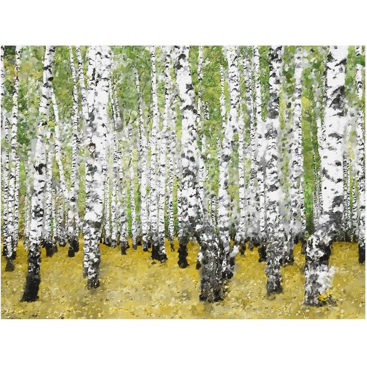 Metsätapetti Artgeist Koivikko, eri kokoja