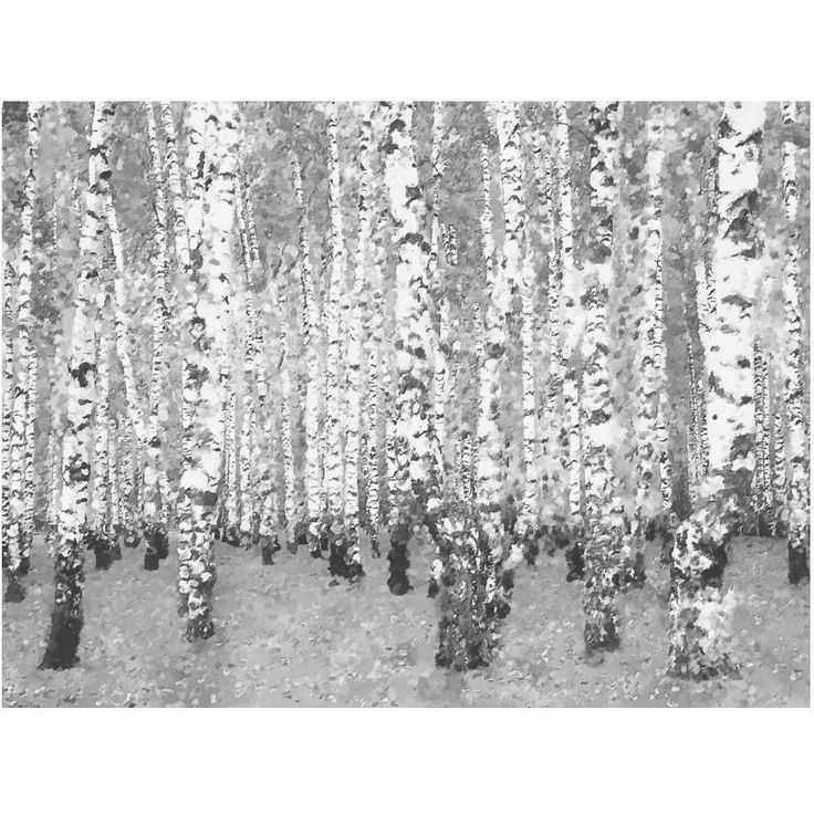 Metsätapetti Artgeist Kesäkoivikko, eri kokoja