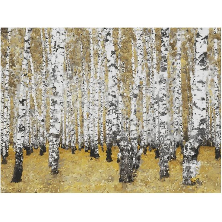 Metsätapetti Artgeist Syksyinen koivumetsä, eri kokoja