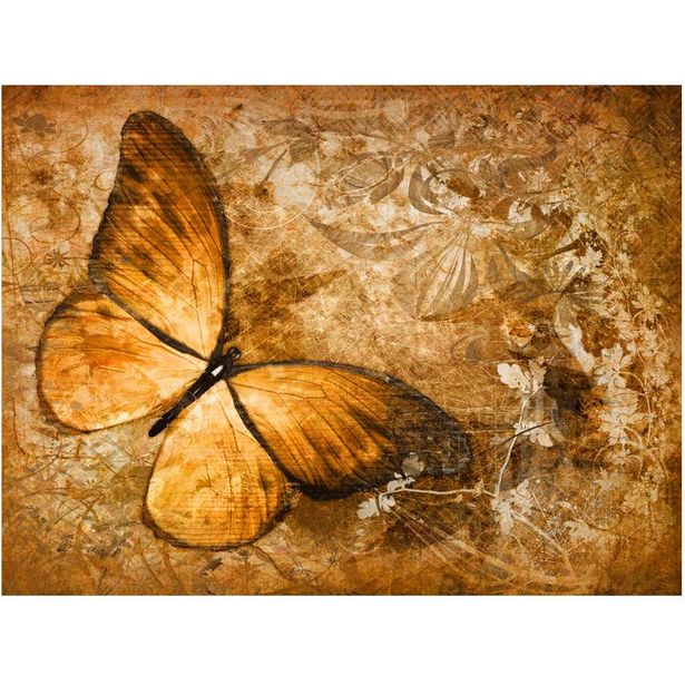 Kuvatapetti Artgeist Butterfly sepia, eri kokoja