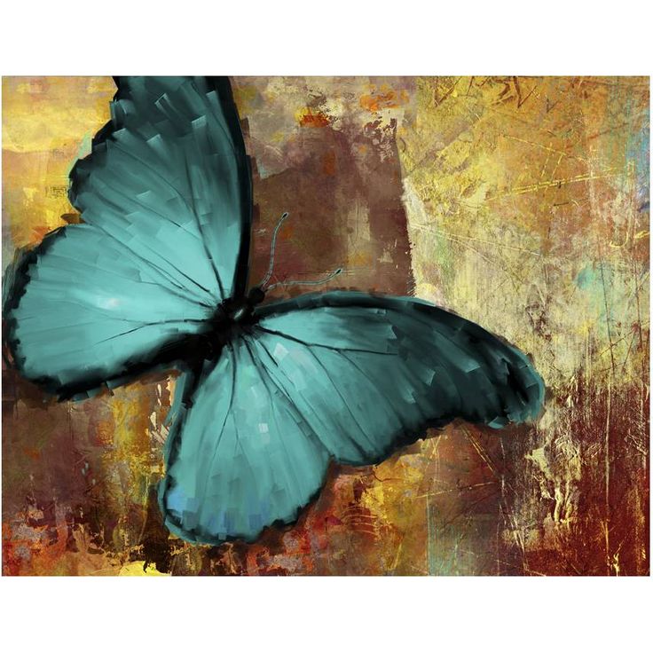 Kuvatapetti Artgeist Painted butterfly, eri kokoja