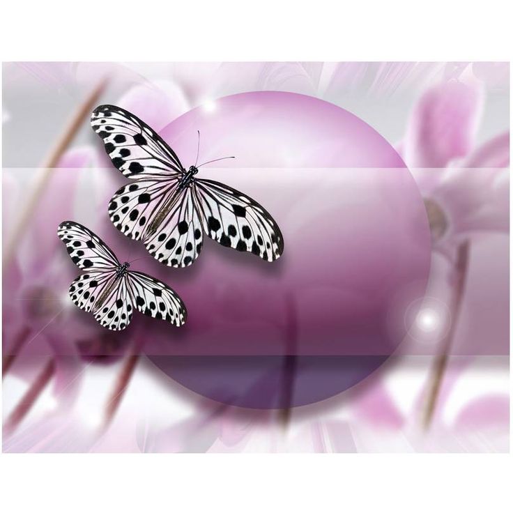Kuvatapetti Artgeist Fly, Butterfly!, eri kokoja