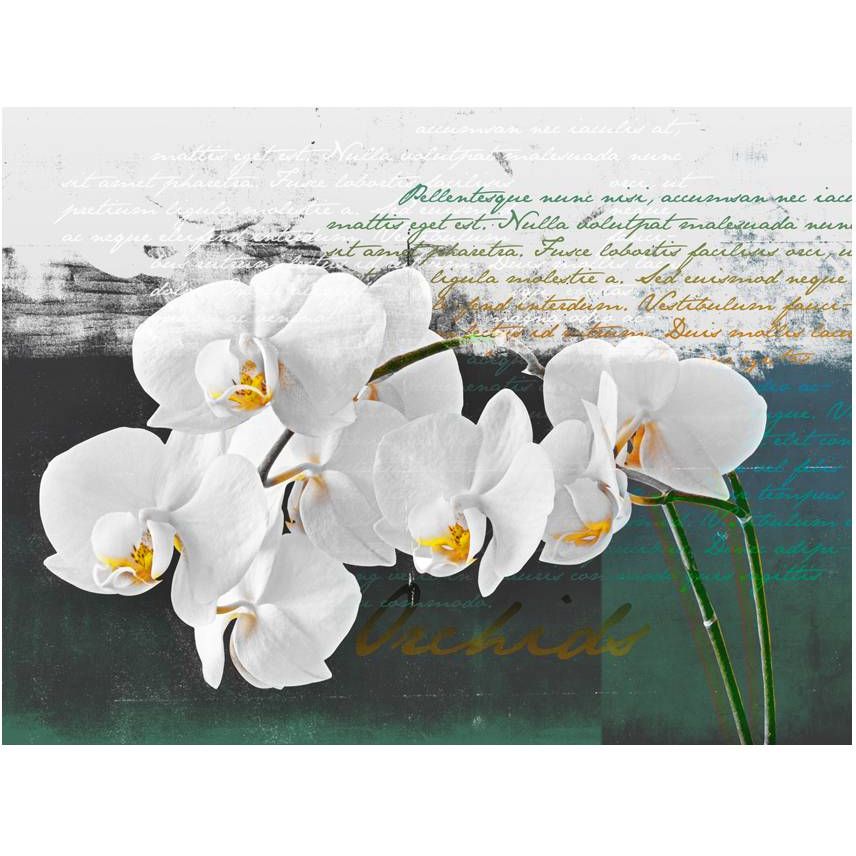 Kuvatapetti Artgeist Orkidea - runoilijan inspiraatio, 154x200cm