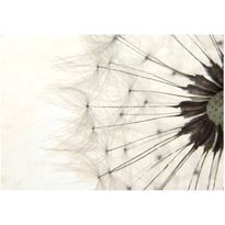Kuvatapetti Artgeist White Dandelion, eri kokoja