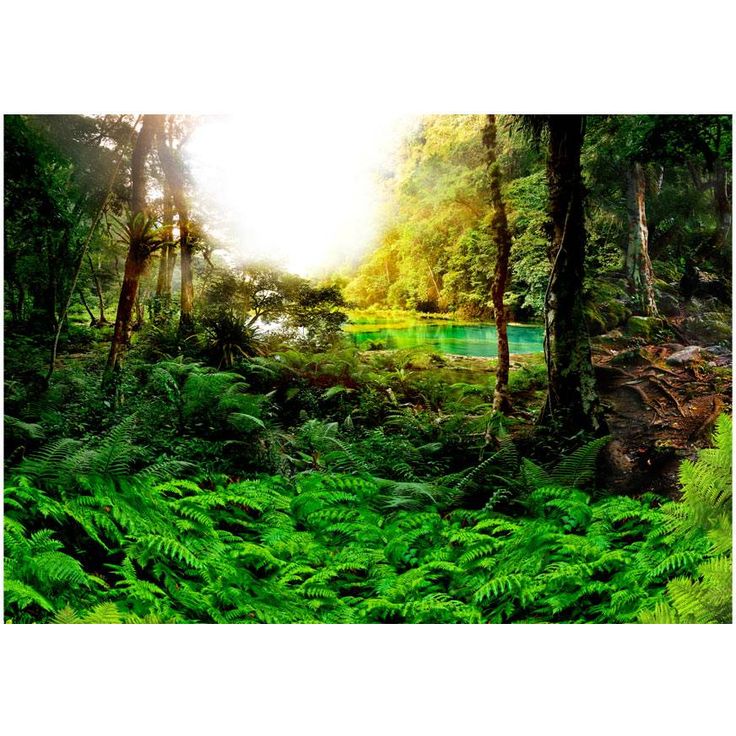 Metsätapetti Artgeist In tropics, eri kokoja