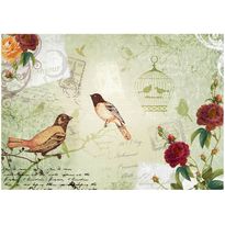 Kuvatapetti Artgeist Vintage birds, eri kokoja