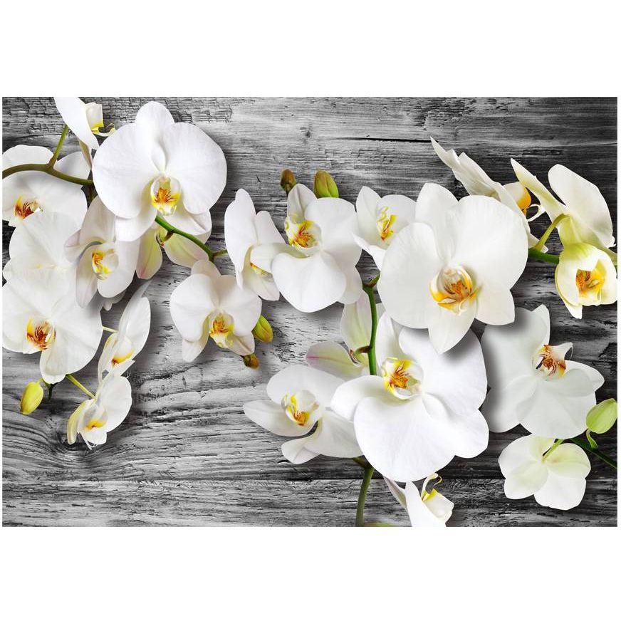 Kuvatapetti Artgeist Callous orchids III, 175x250cm