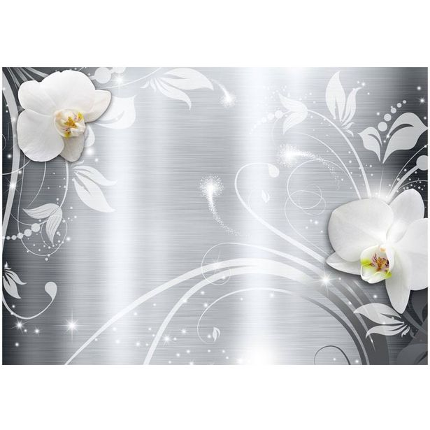 Kuvatapetti Artgeist Orchids on steel, eri kokoja