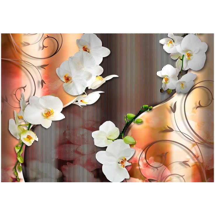 Kuvatapetti Artgeist Orchid, eri kokoja