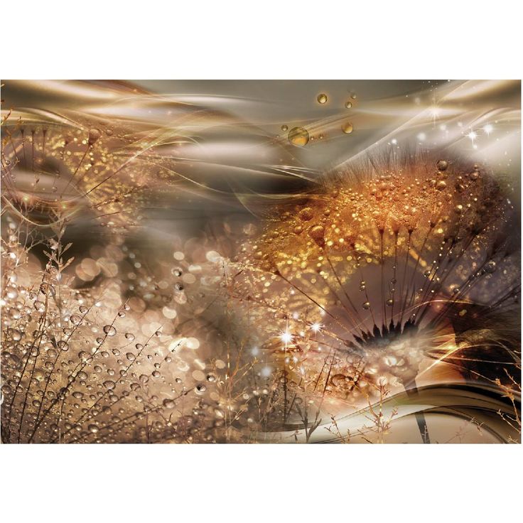 Kuvatapetti Artgeist Dandelions' World Gold, eri kokoja