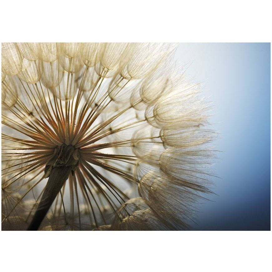 Kuvatapetti Artgeist Summer Delight , 175x250cm, sininen