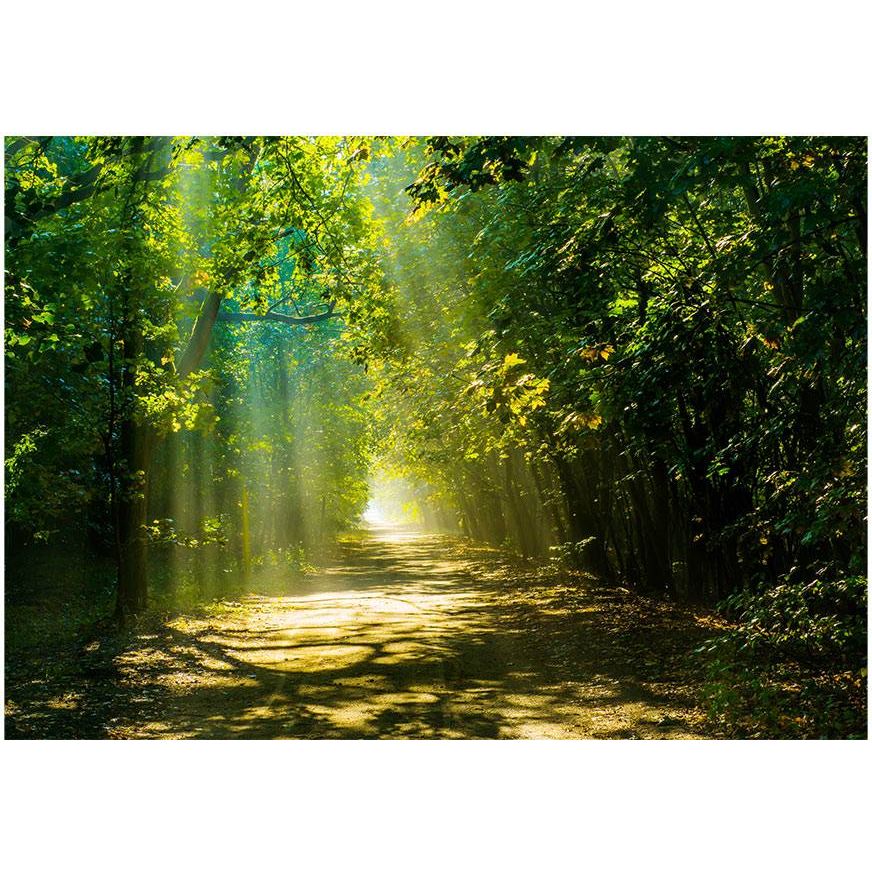 Kuvatapetti Artgeist Road in Sunlight, 280x400cm, vihreä