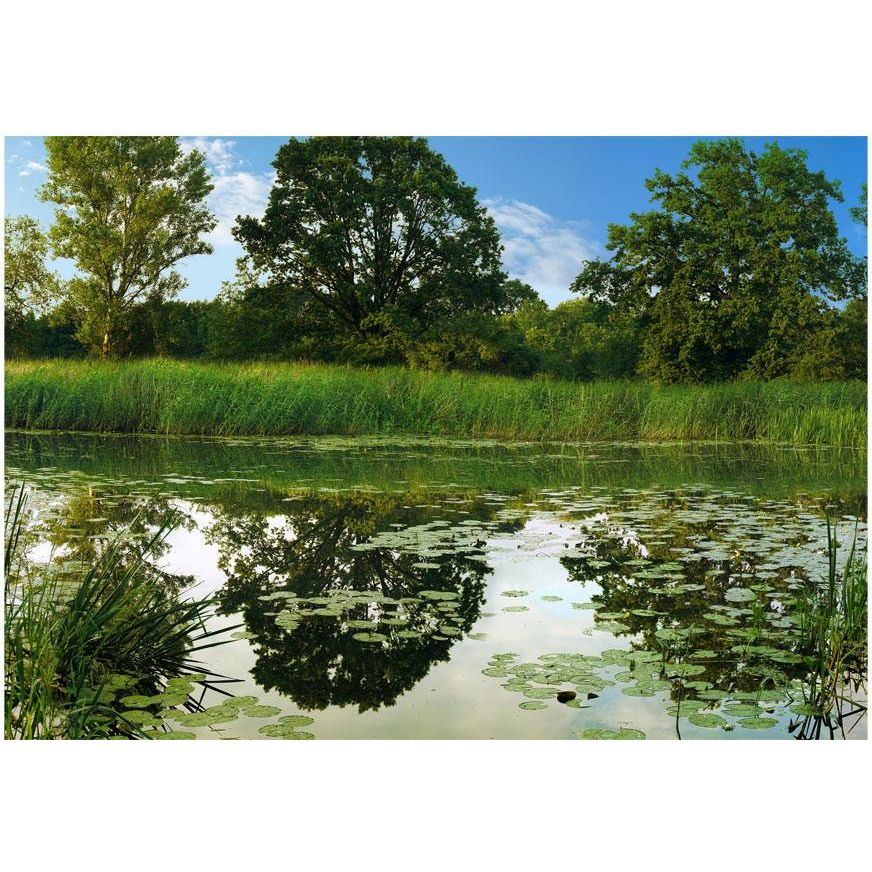 Kuvatapetti Artgeist The Magic Pond, 175x250cm, vihreä