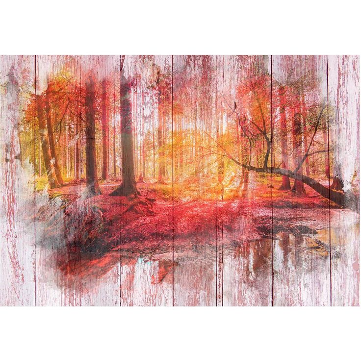 Metsätapetti Artgeist Autumnal Forest, eri kokoja