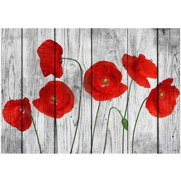 Kuvatapetti Artgeist Tale of Red Poppies, eri kokoja