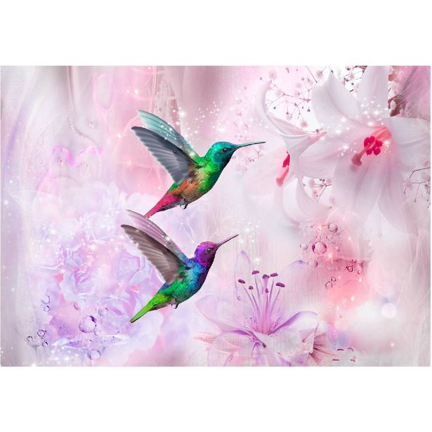 Kuvatapetti Artgeist Colourful Hummingbirds Purple, eri kokoja