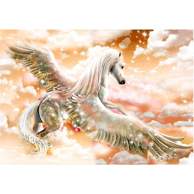 Kuvatapetti Artgeist Pegasus Orange, eri kokoja