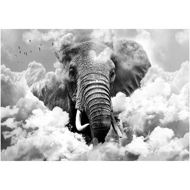 Kuvatapetti Artgeist Elephant in the Clouds Black and White, eri kokoja