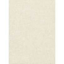 Tapetti Arte Chanderi, 0.7x8.5m, eggshell, non-woven