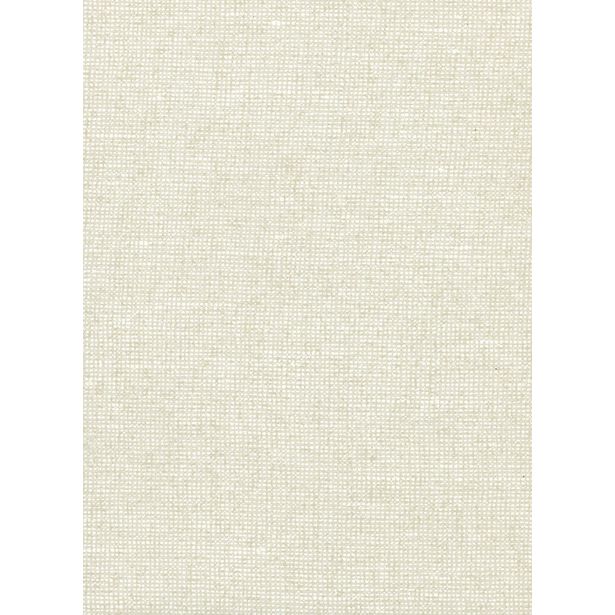 Tapetti Arte Chanderi, 0.7x8.5m, eggshell, non-woven