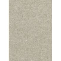 Tapetti Arte Chanderi, 0.7x8.5m, hiekka, non-woven