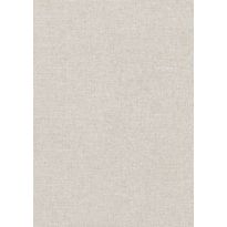 Tapetti Arte Chanderi, 0.7x8.5m, puuteri, non-woven