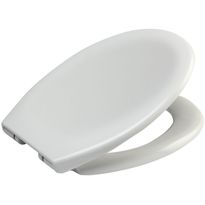 WC-istuinkansi Arrow Rubinett Soft valkoinen