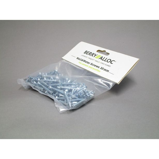 Ruuvi Berry Alloc Wall&Water, 4.2 x 30 mm 200 kpl