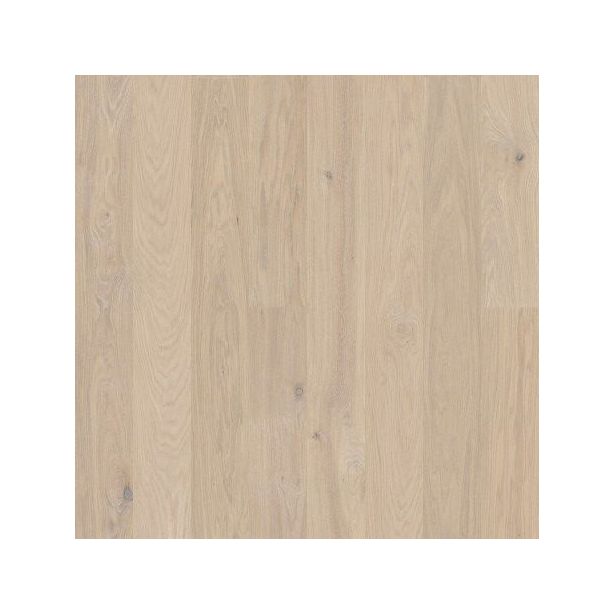 Kovetettu puulattia Bjelin Tammi Dalen 3.0 Powder White, mattalakattu, eri kokoja