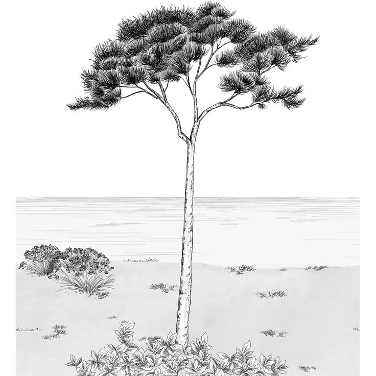 Kuvatapetti Casadeco Parfum De Pin S Noir Fusain 200x250cm (200029105)