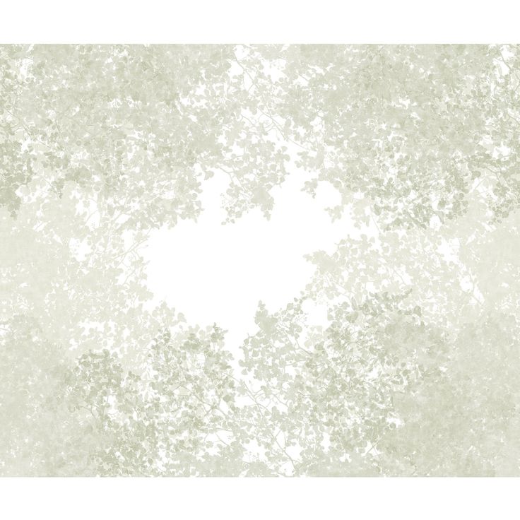Kuvatapetti Casadeco Chemin Des Cimes S Vert Lichen 300x250cm (200137207)