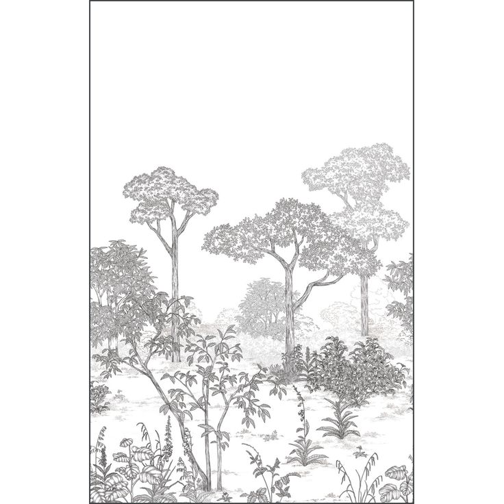 Kuvatapetti Caselio Arboretum Noir Blanc 200x310cm (106690904)