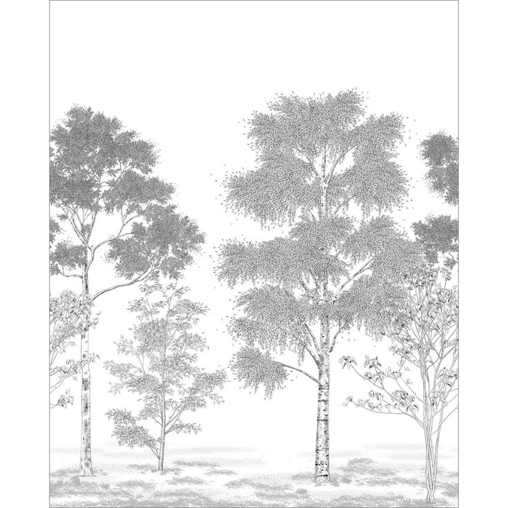 Kuvatapetti Caselio Poesie Printaniere Noir 250x310cm (106169002)