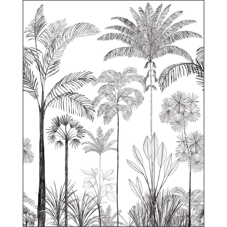 Kuvatapetti Caselio Sao Paulo Gris S 200x250cm (3105919105)