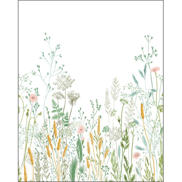 Kuvatapetti Caselio Herbarium S Multicouleurs 200x250cm (2105390405)