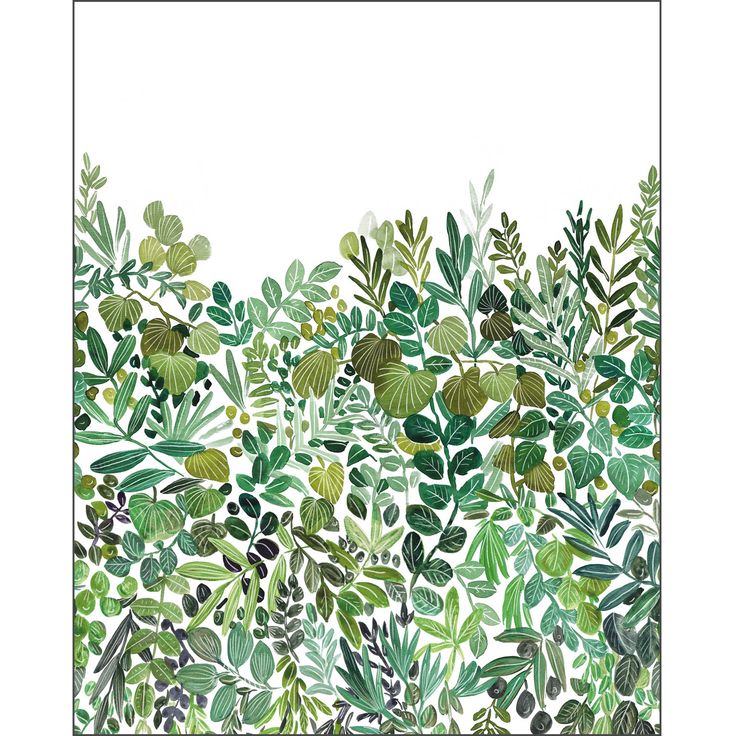 Kuvatapetti Caselio Luxurius S Nature Vert 200x250cm (2105410405)