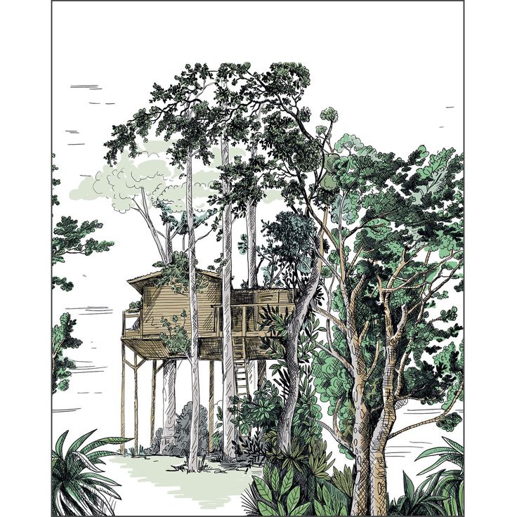 Kuvatapetti Caselio The Garden Shed S Vert 200x250cm (2105420405)